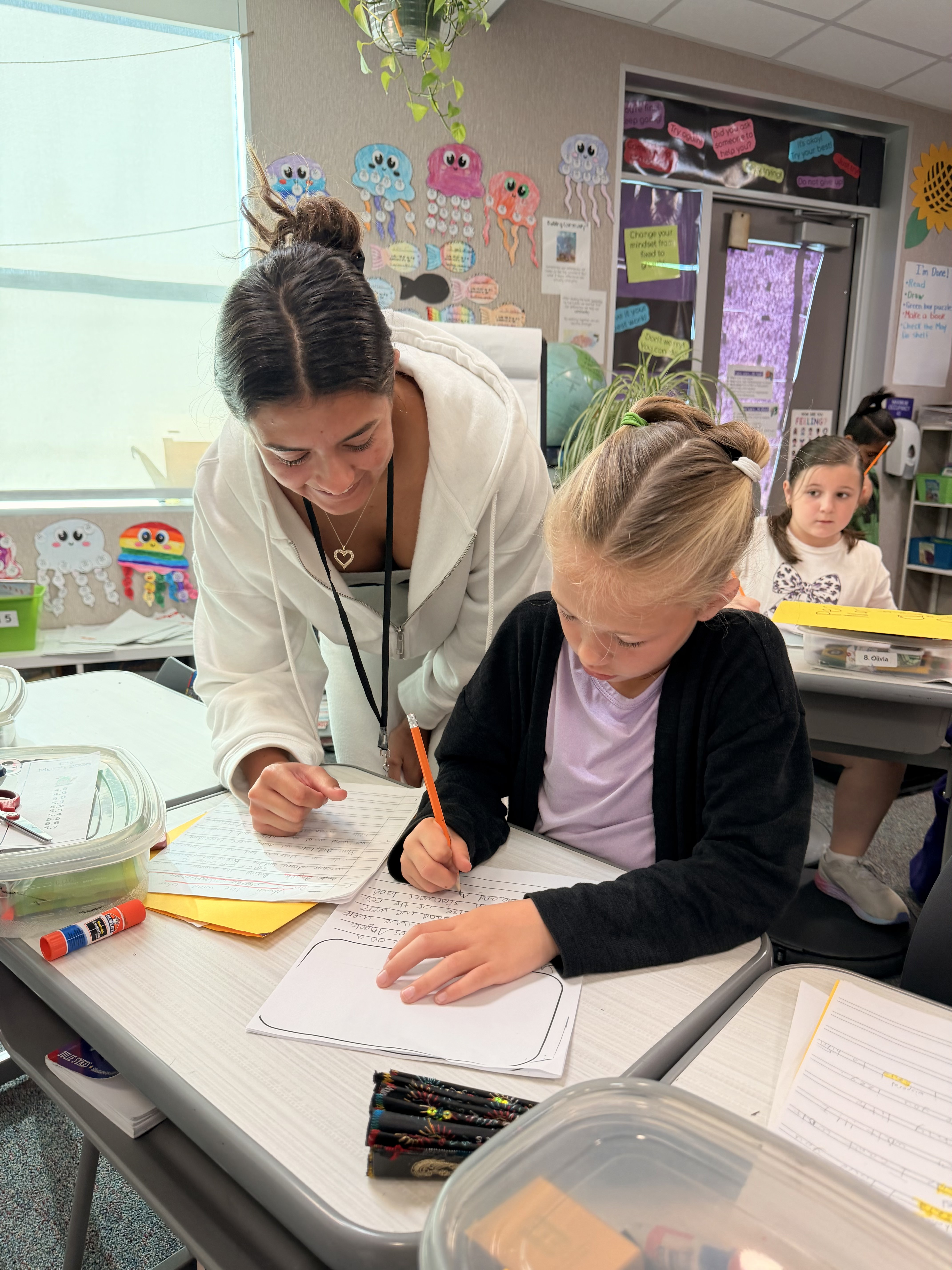 Hands-on Student Mentorship